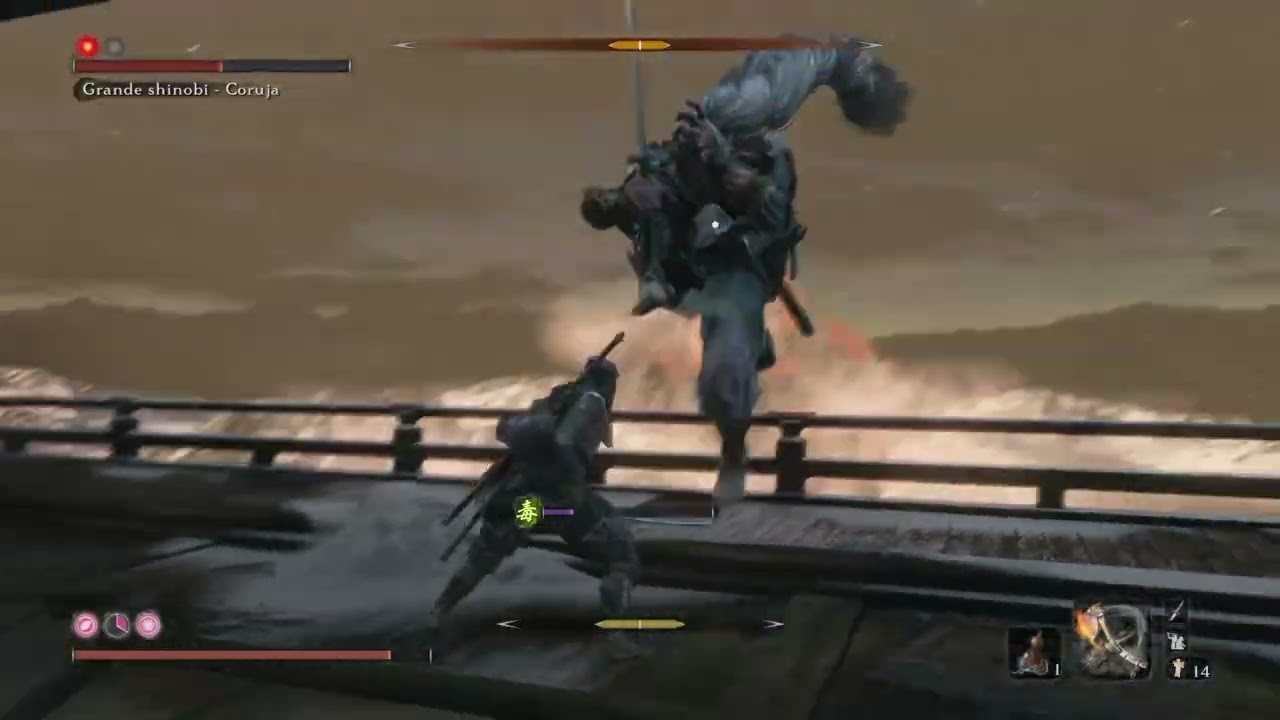 Sekiro™: Shadows Die Twice_20260124195120
