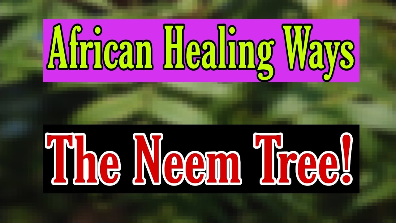 African Healing Ways: The Neem Tree