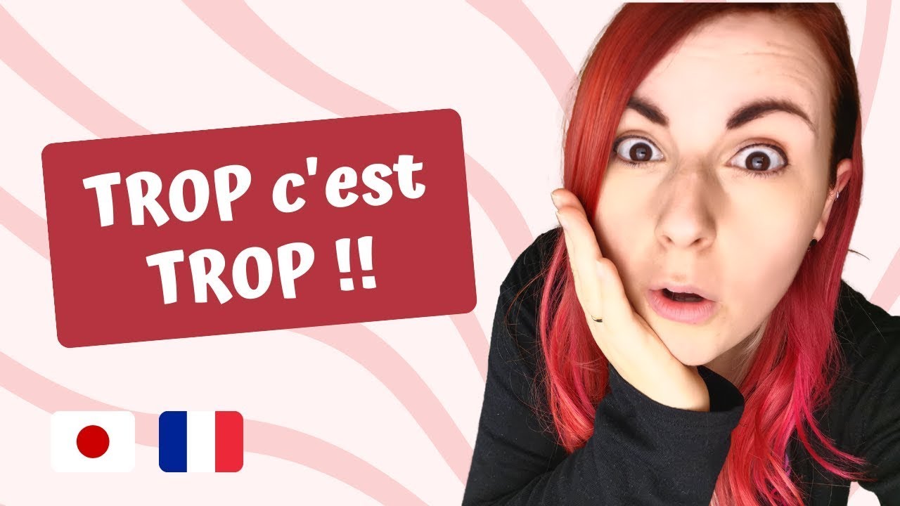 Comment dire trop en japonais ? [GRAMMAIRE JLPT N4]