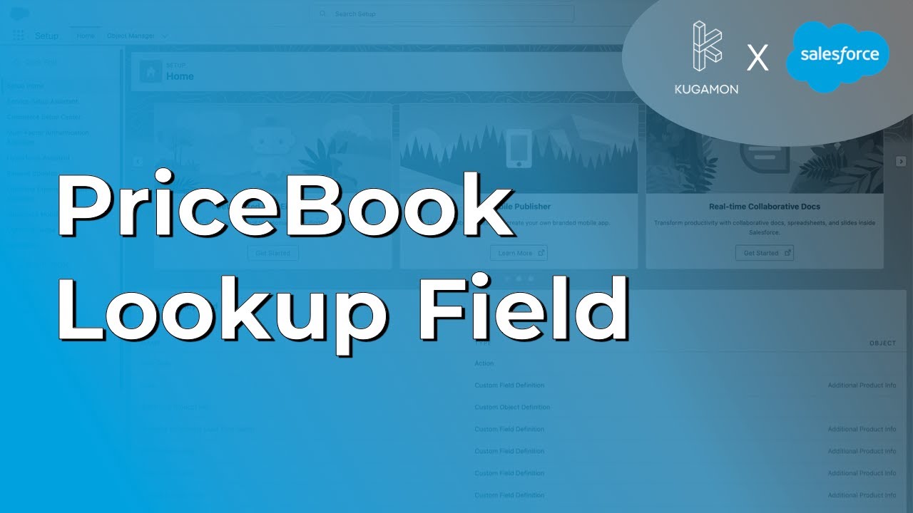PriceBook Lookup Field #cpq