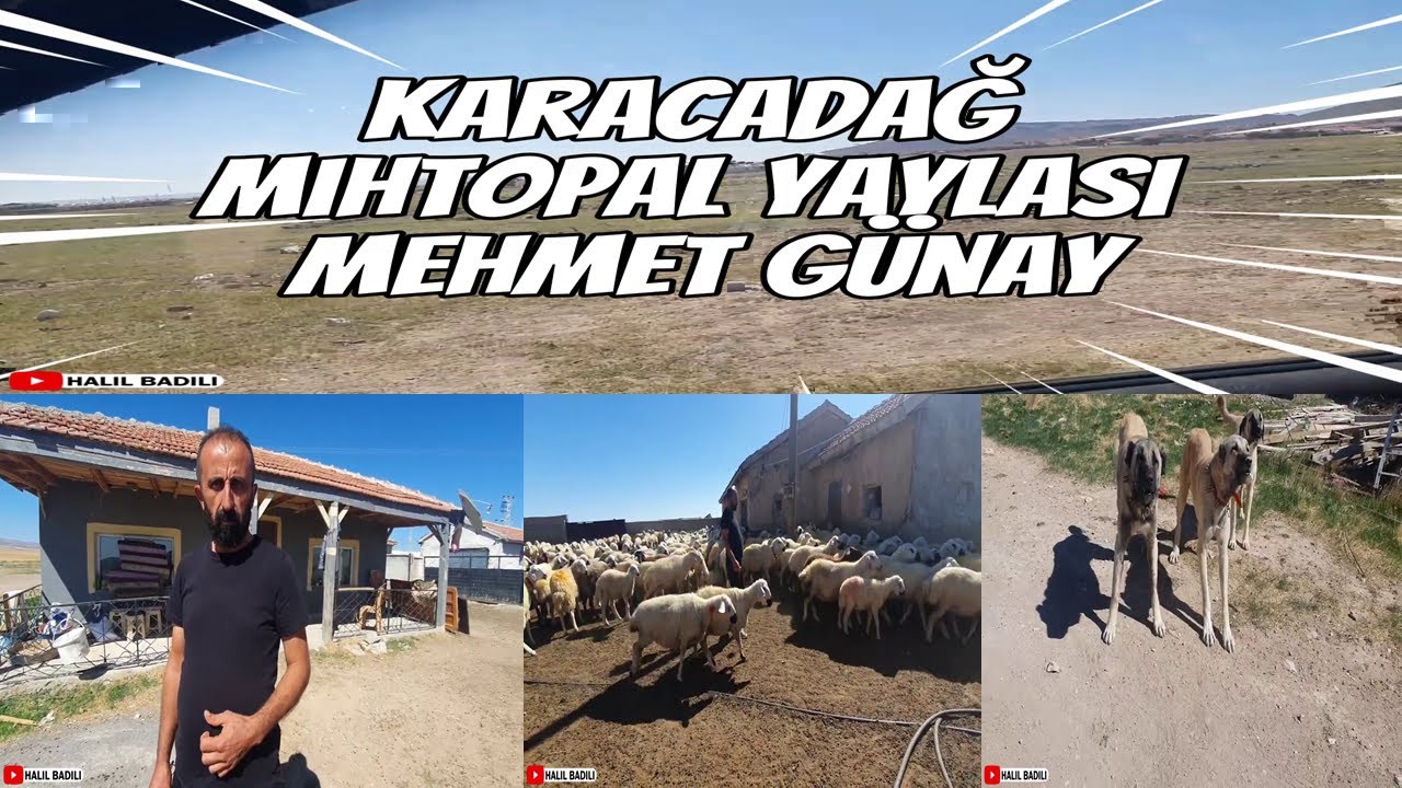 Karacadağ Mıhtopal Yaylası Mehmet Günay