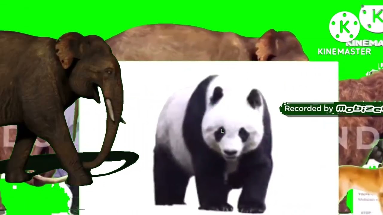 animals and dinosaurs stampede green screen remake