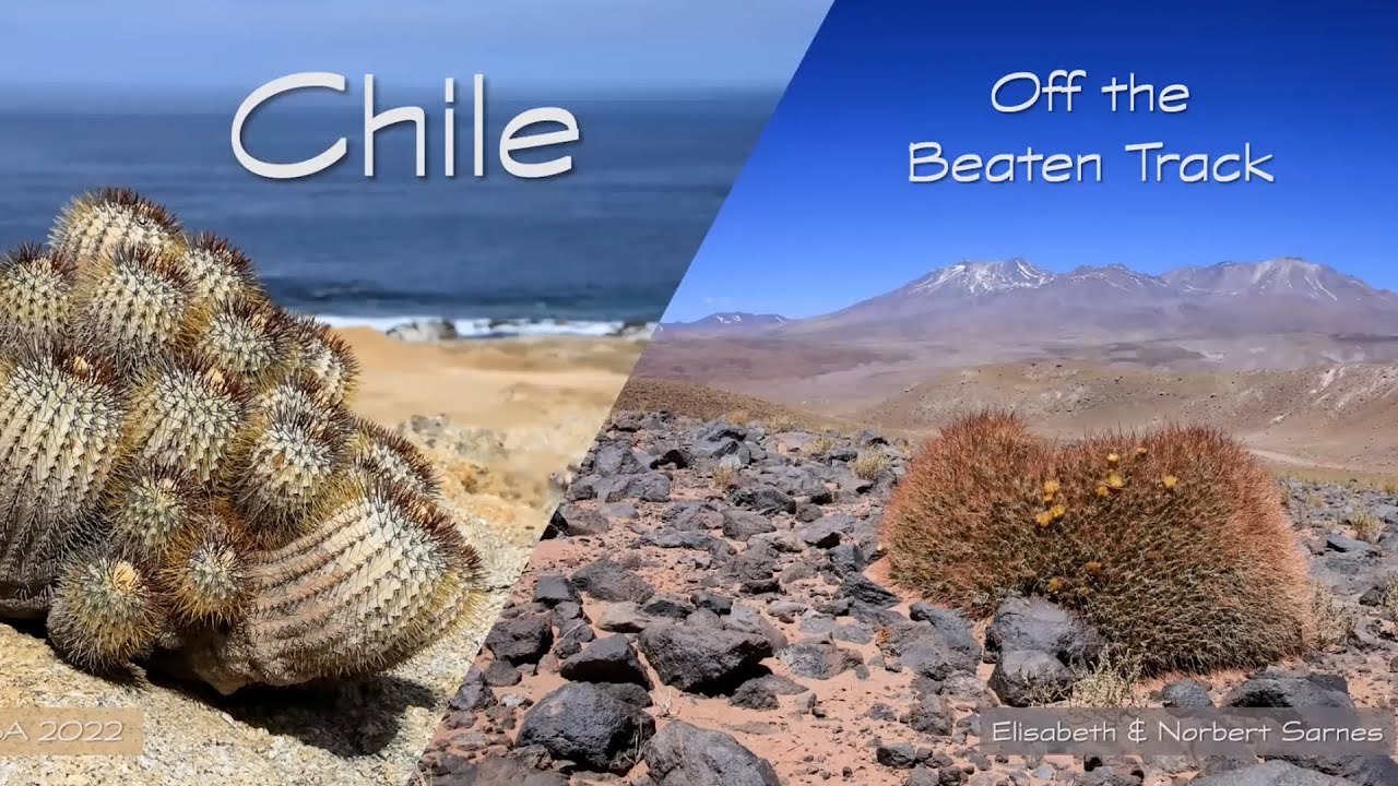 Cacti and Succulents in Chile: Off The Beaten Path by Elisabeth Sarnes