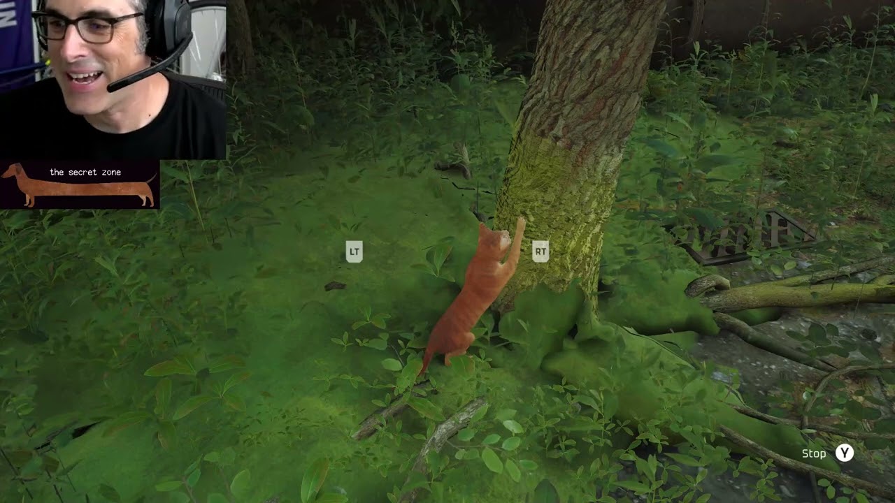 Josh Sawyer Stray Twitch Stream Part 1 July 23rd 2022