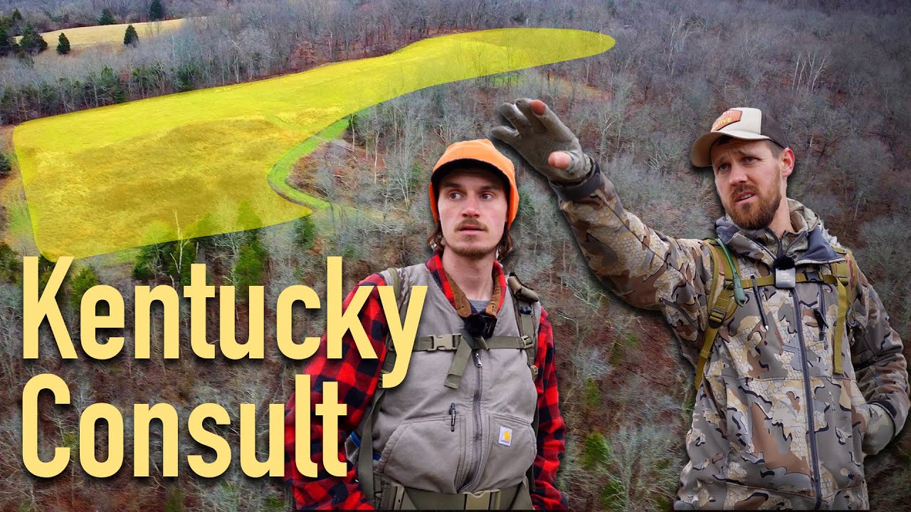 NATIVE HABITAT Management in the MIDWEST -- KENTUCKY CONSULTING