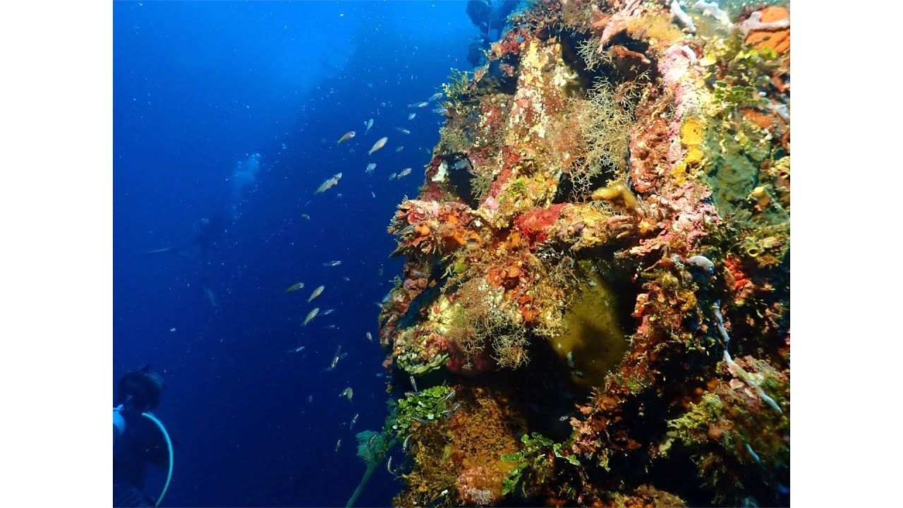 Solomon Islands Diving, Gizo - Toa Maru WWII wreck and Grand Central Station