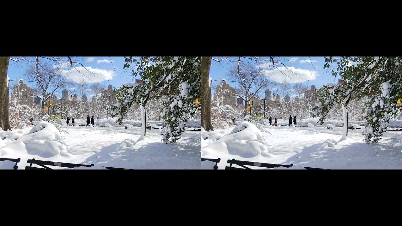 3DNY: Central Park 2/24/2026 - 3D Full SBS