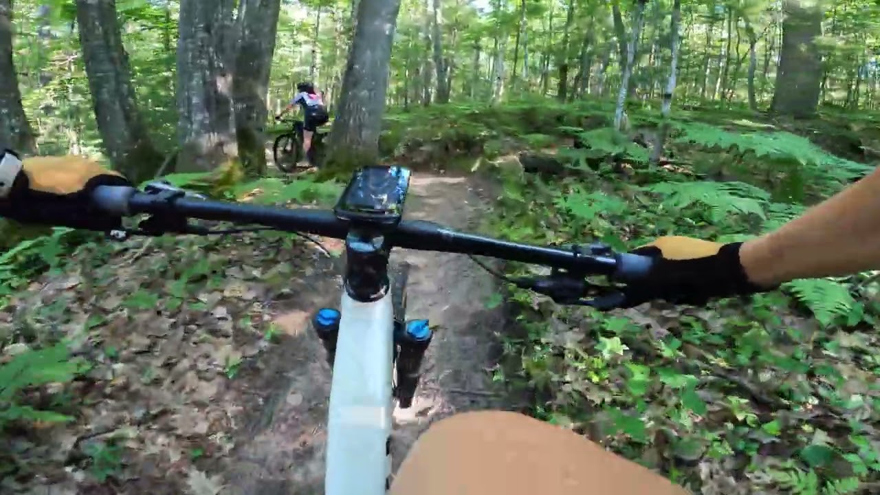 Marji Gesick North Trails