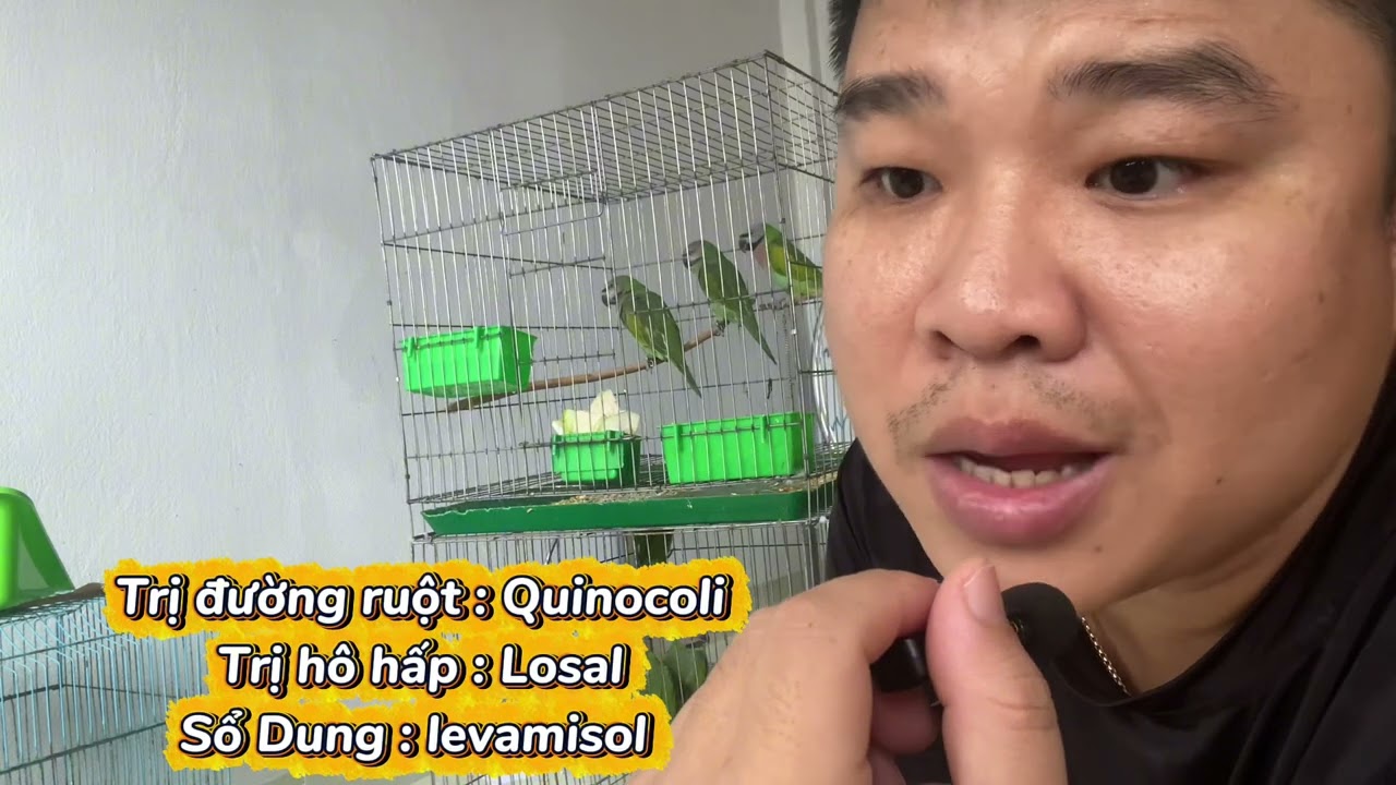 Các loại thuốc cơ bản dành cho vẹt 