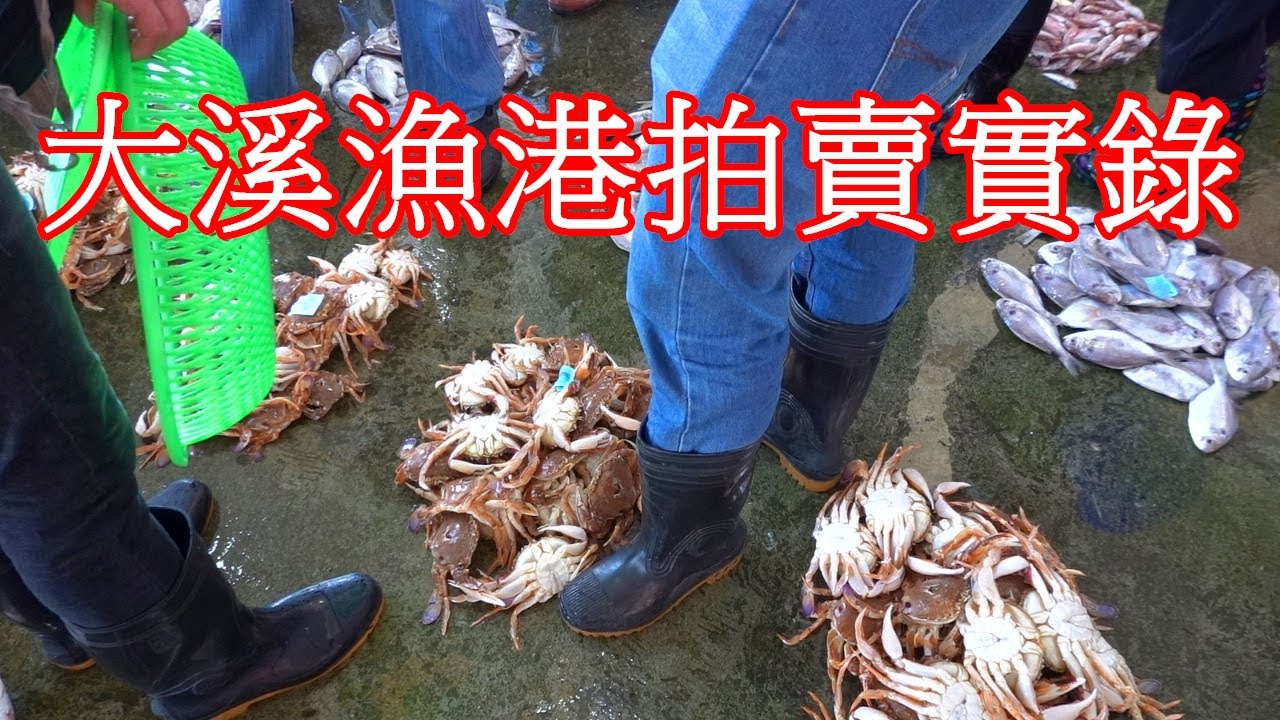 8/30 宜蘭大溪漁港拍賣實錄