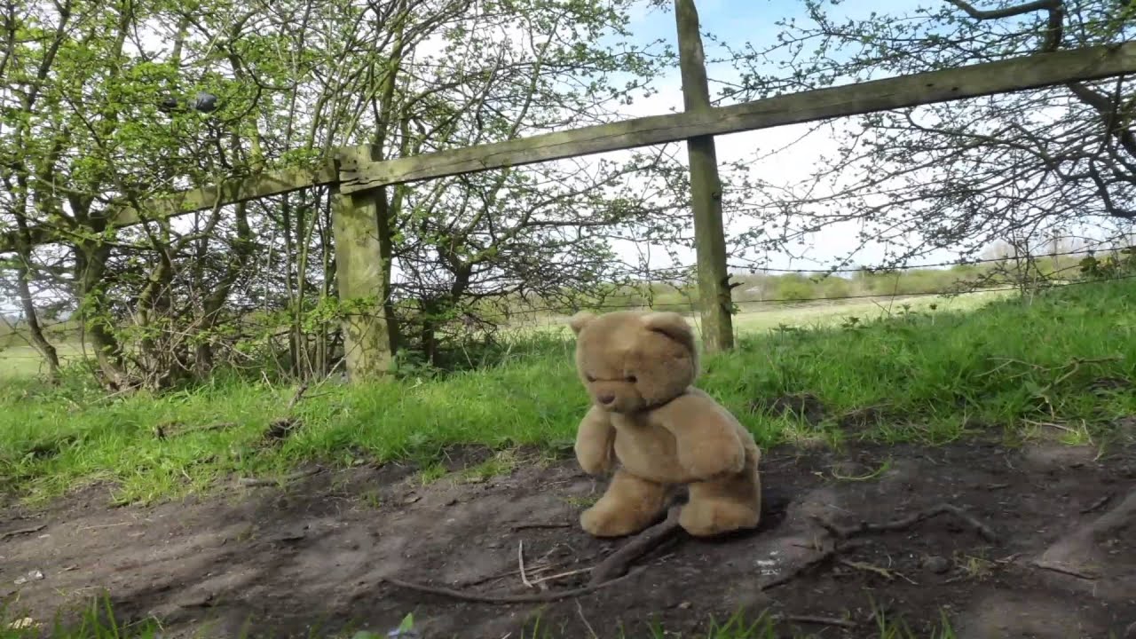Music Video Project - Stop Motion Teddy Bear