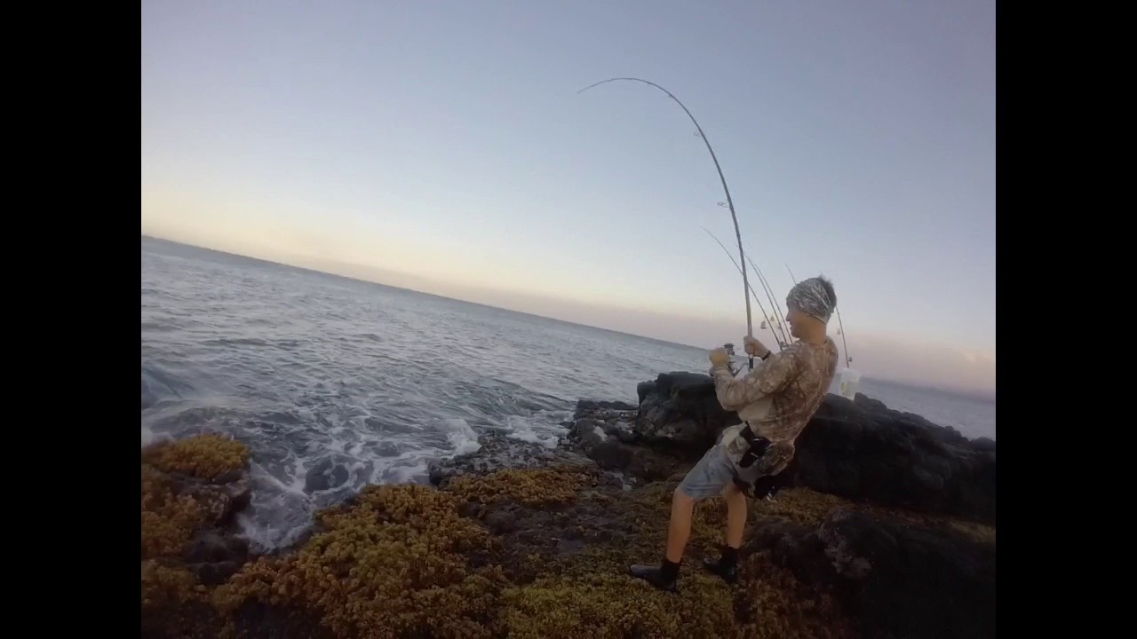Ulua fishing 2017