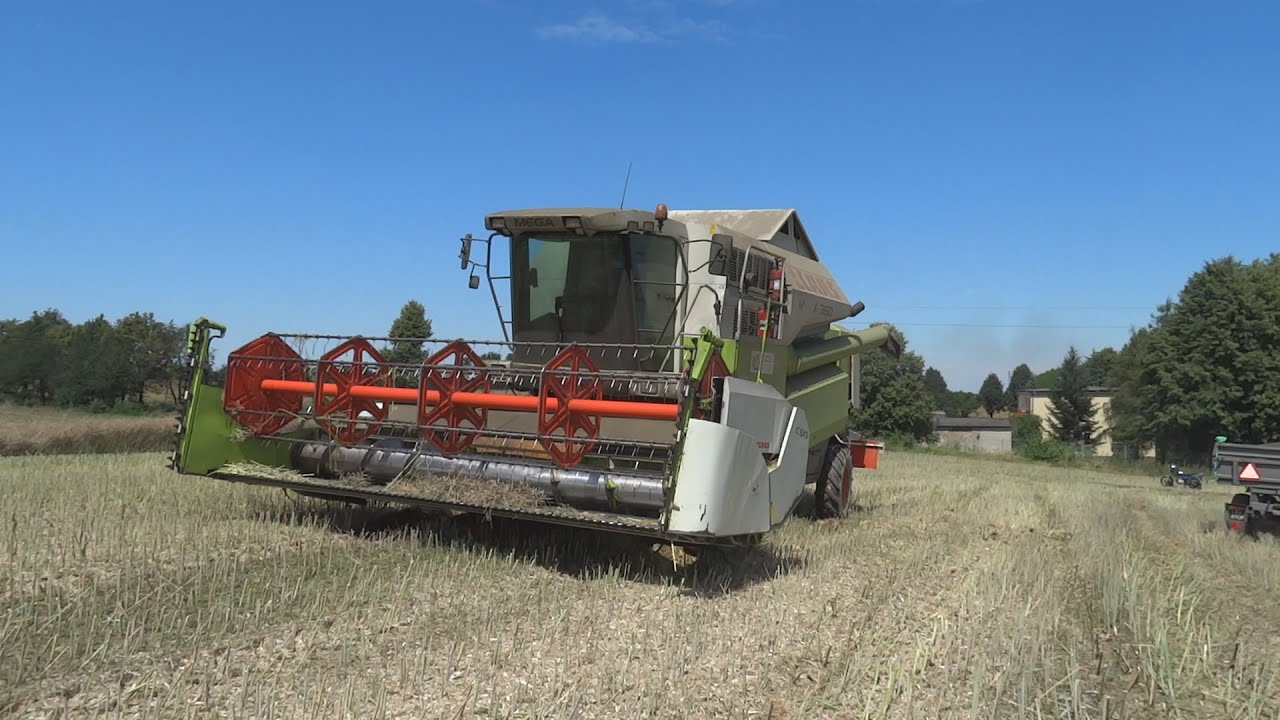 Żniwa Rzepaczane 2016  /Claas Mega 360\~~ Dolny Śląsk~~