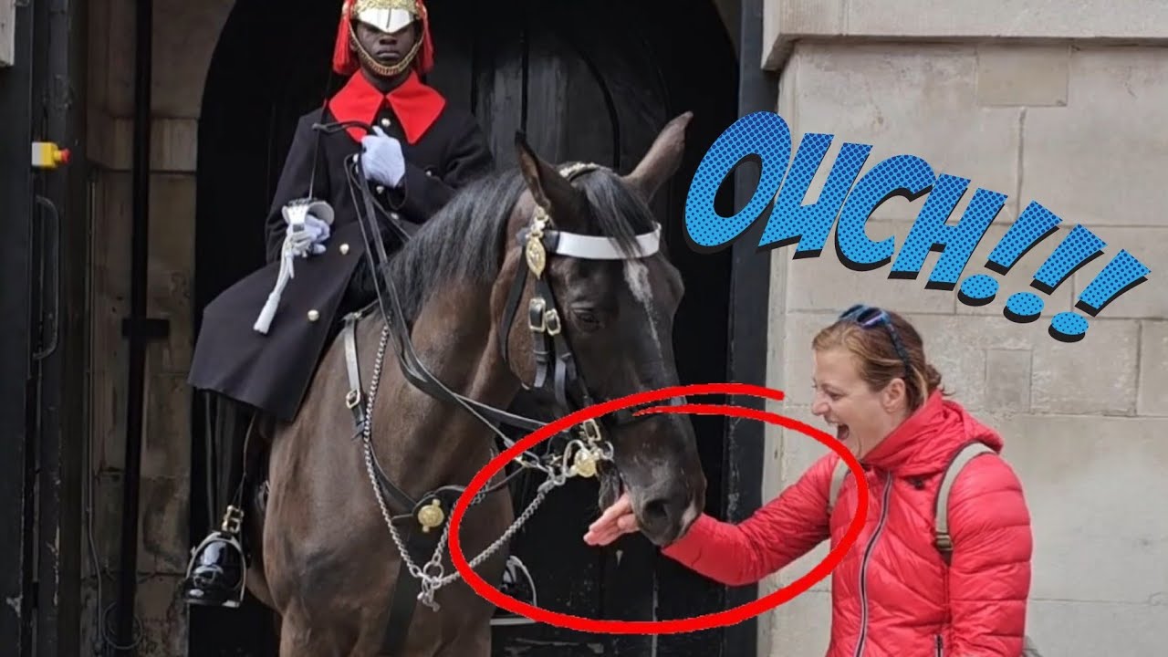 HE BITES!😳 What This King's Horse Did Will Shock You!