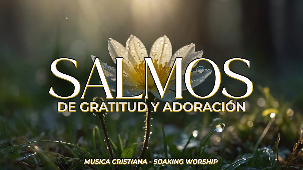 SALMOS CANTADOS del Rey David 👑 | GRATITUD y ADORACIÓN 🙏 | Música Cristiana para ORAR en PAZ 🕊️
