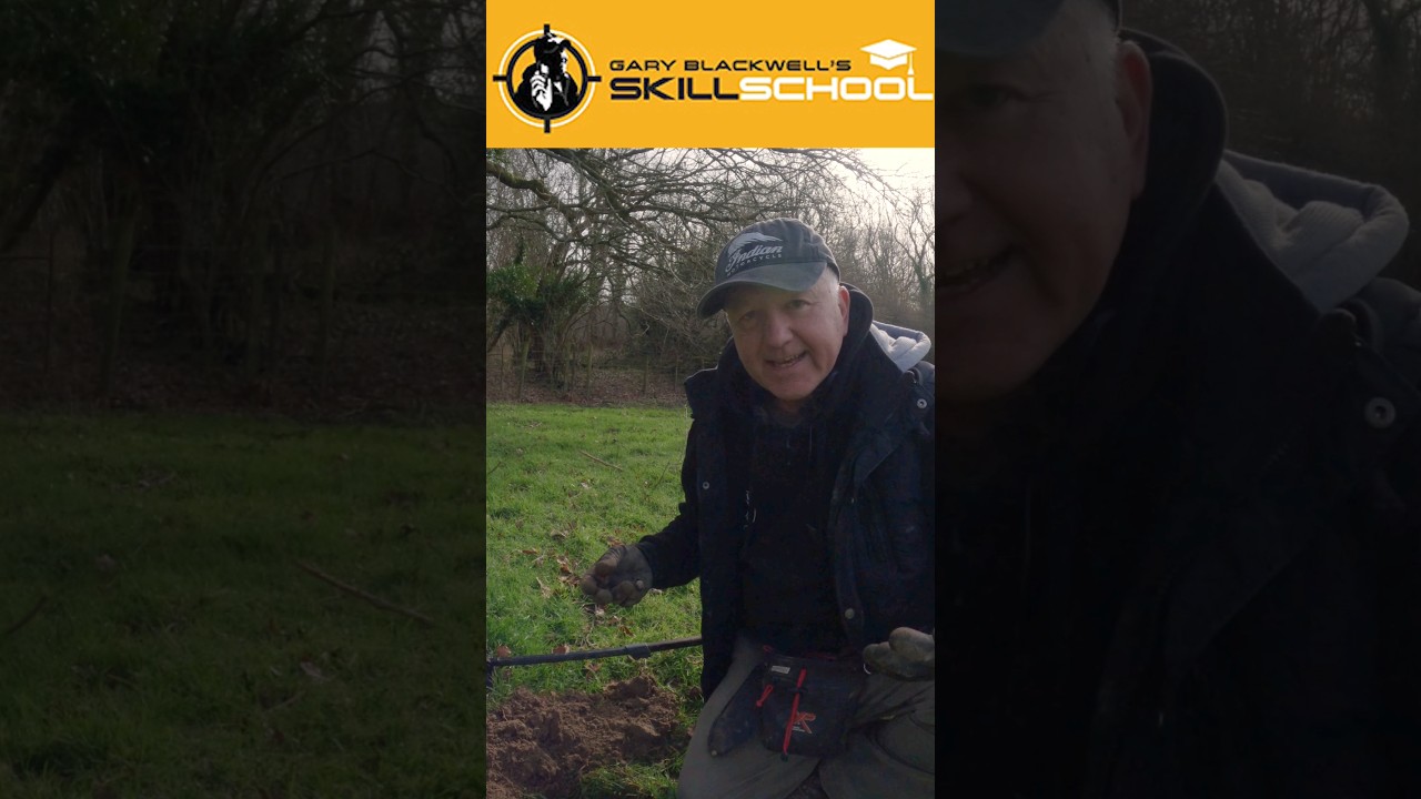 All metal detectors have linear discrimination. #metaldetecting