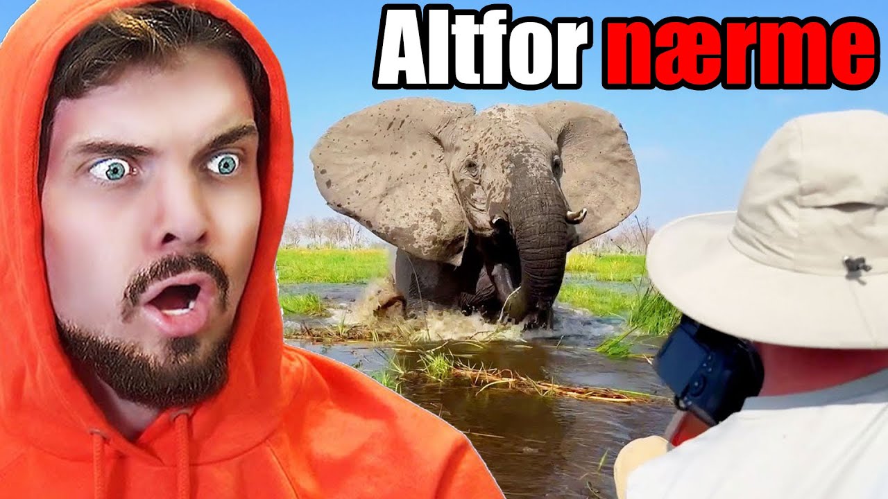 De Sykeste Videoene På Internettet