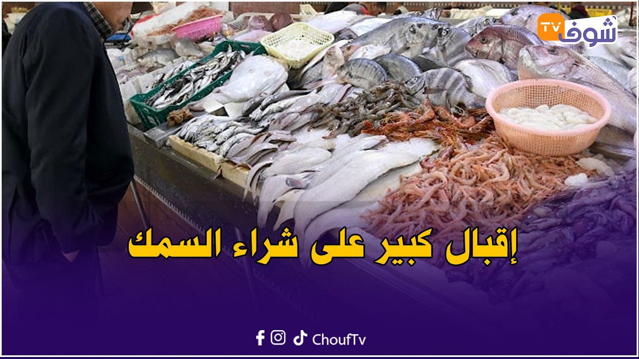 مباشرة من الجديدة: إقبال كبير على شراء السمك في سوق لالة زهرة صبيحة اليوم الثالث من رمضان
