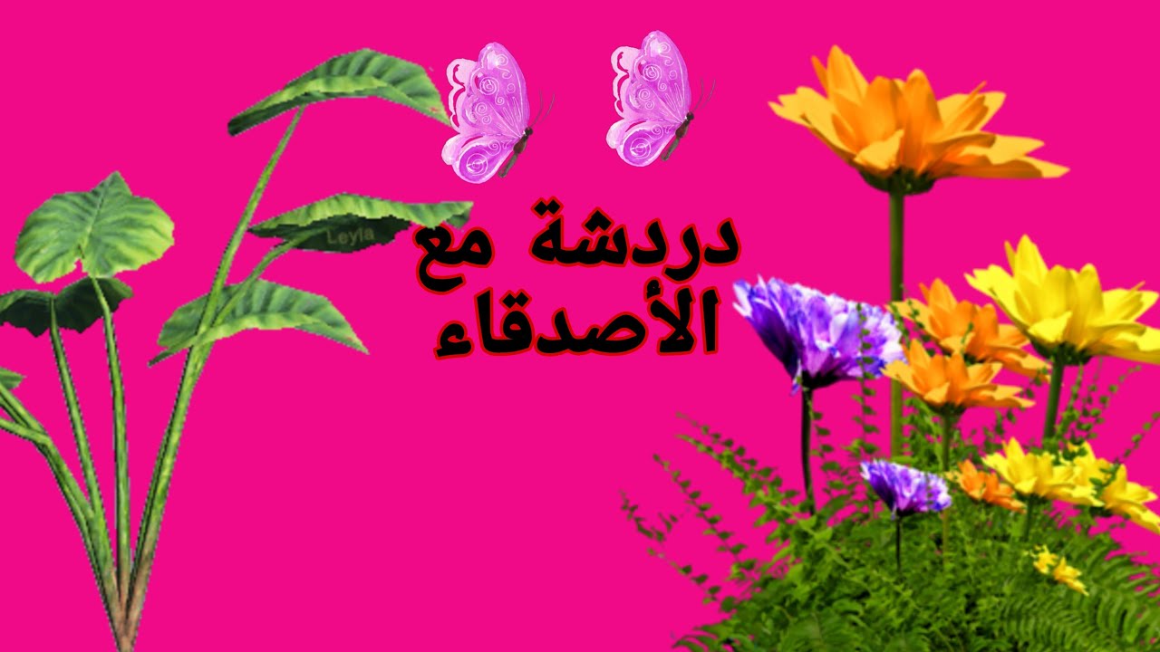 دردشة مع الأصدقاء. 🥰