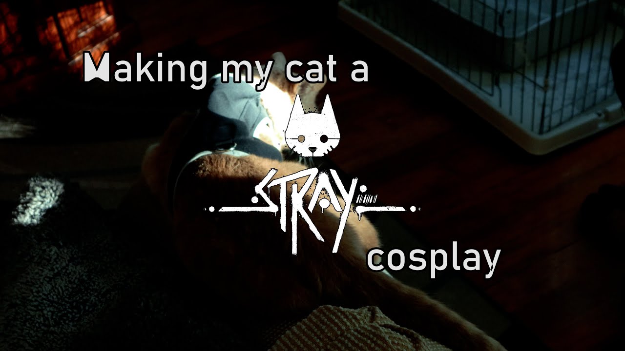 Making My Cat a STRAY Cosplay (Stray Video Game)