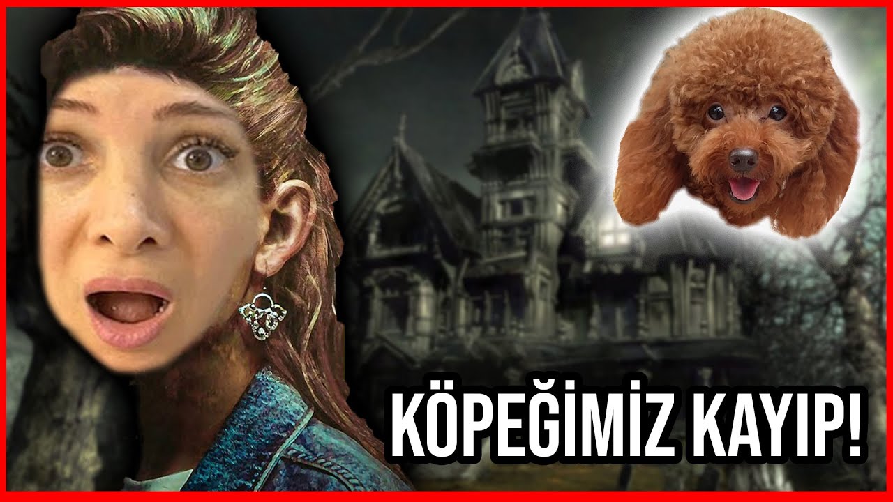 K&Ouml;PEĞİMİZ KAYIP PERİLİ EVE Mİ KA&Ccedil;TI! **HARMONY KAYIP** Dobişko Tv