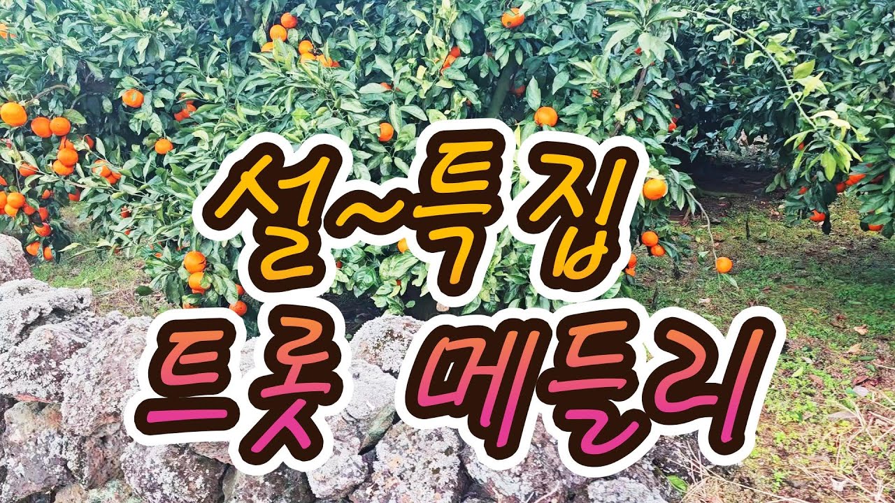 흥겨움 가득한 설 명절 맞으세요!   오가시는 길 즐거움 더해줄 트롯곡으로  보내드립니다* #삼다도소식, #고향무정, #제주도풍경,