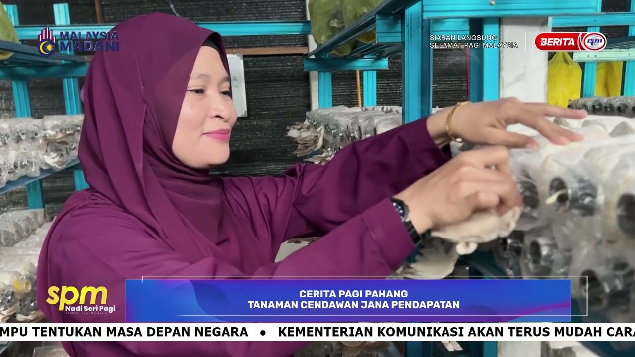27 FEB 2026 - SPM - CERITA PAGI PAHANG: TANAMAN CENDAWAN JANA PENDAPATAN