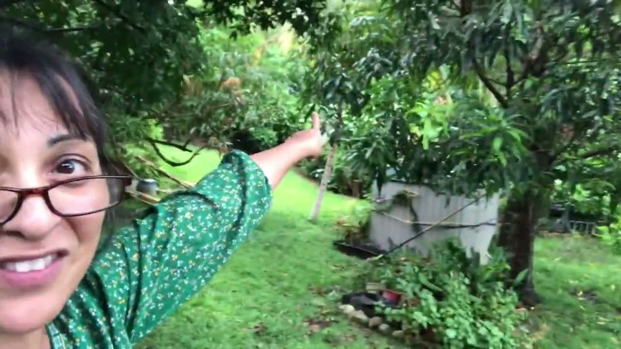 David Homestead Puerto Rico Week 1 (Vlog)