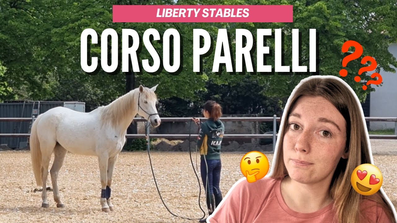 CORSO BASE PARELLI: Rispetterà le mie aspettative?🤔🐎