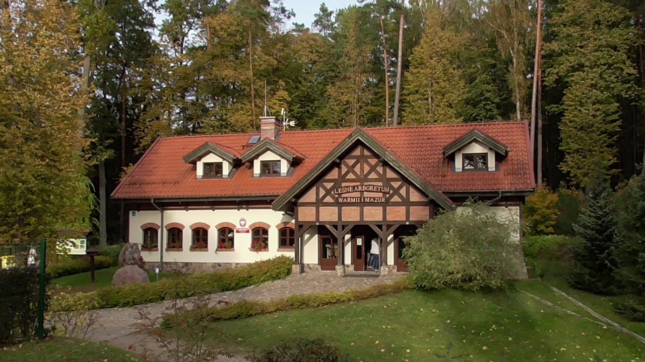 Leśne Arboretum w Kudypach.  The Forest Arboretum in Kudypy.