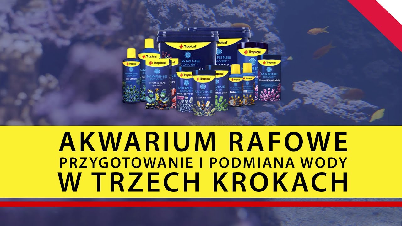 TROPICAL Marine Power | Akwarium rafowe - podmiana wody w 3 krokach