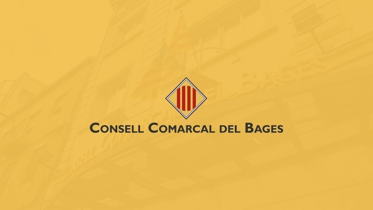 Ple ordinari de 26 de gener de 2026