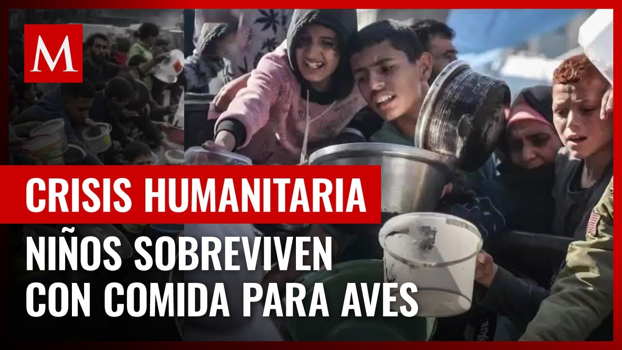 Crisis humanitaria en Gaza: Niños comen comida para animales por hambre