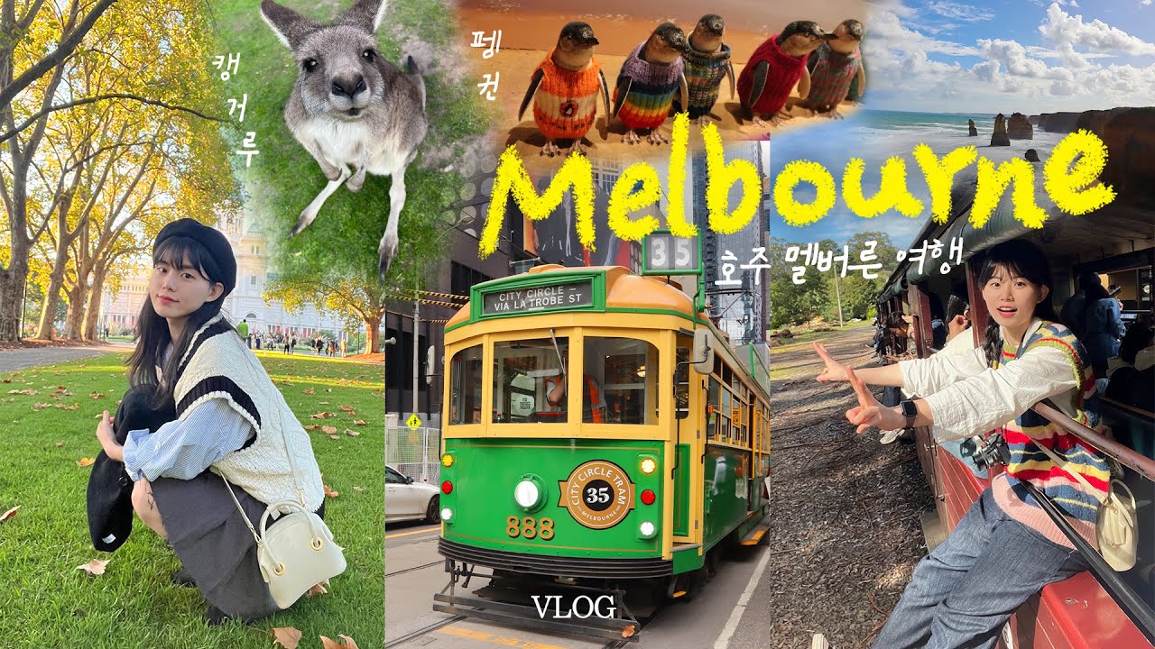 완벽한 멜버른 여행 코스🇦🇺 호주 여행 | 멜버른 맛집 & 브런치카페부터 캥거루 코알라 펭귄까지 🦘🐨🐧 | 그레이트 오션로드 | 퍼핑빌리 필립아일랜드