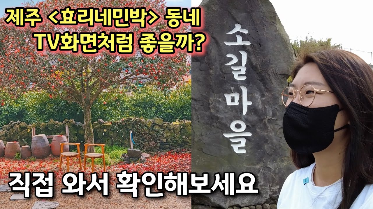 [제주가이드] 소길리 여행방법 싹 다 알려드릴께요🏝 맛집, 카페, 주차까지 이 영상 하나면 끝! [제주여행/효리네민박]