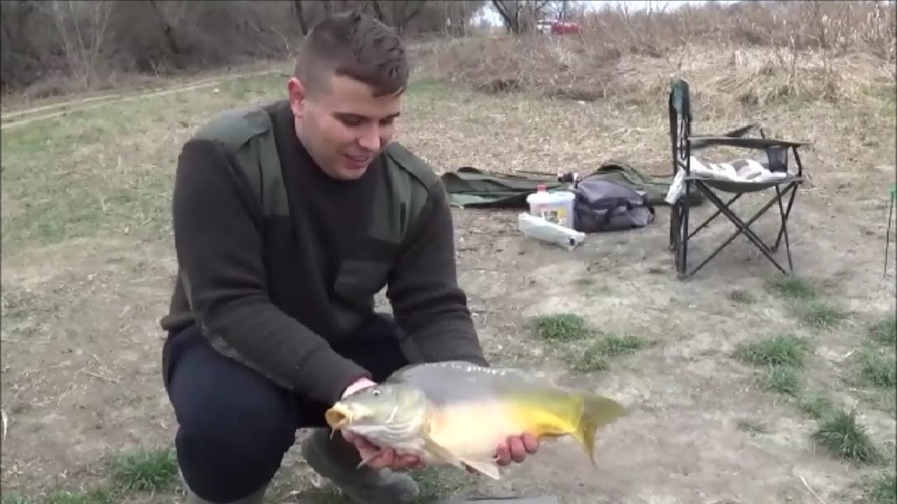Pecázz Viktorral - Method vagy picker