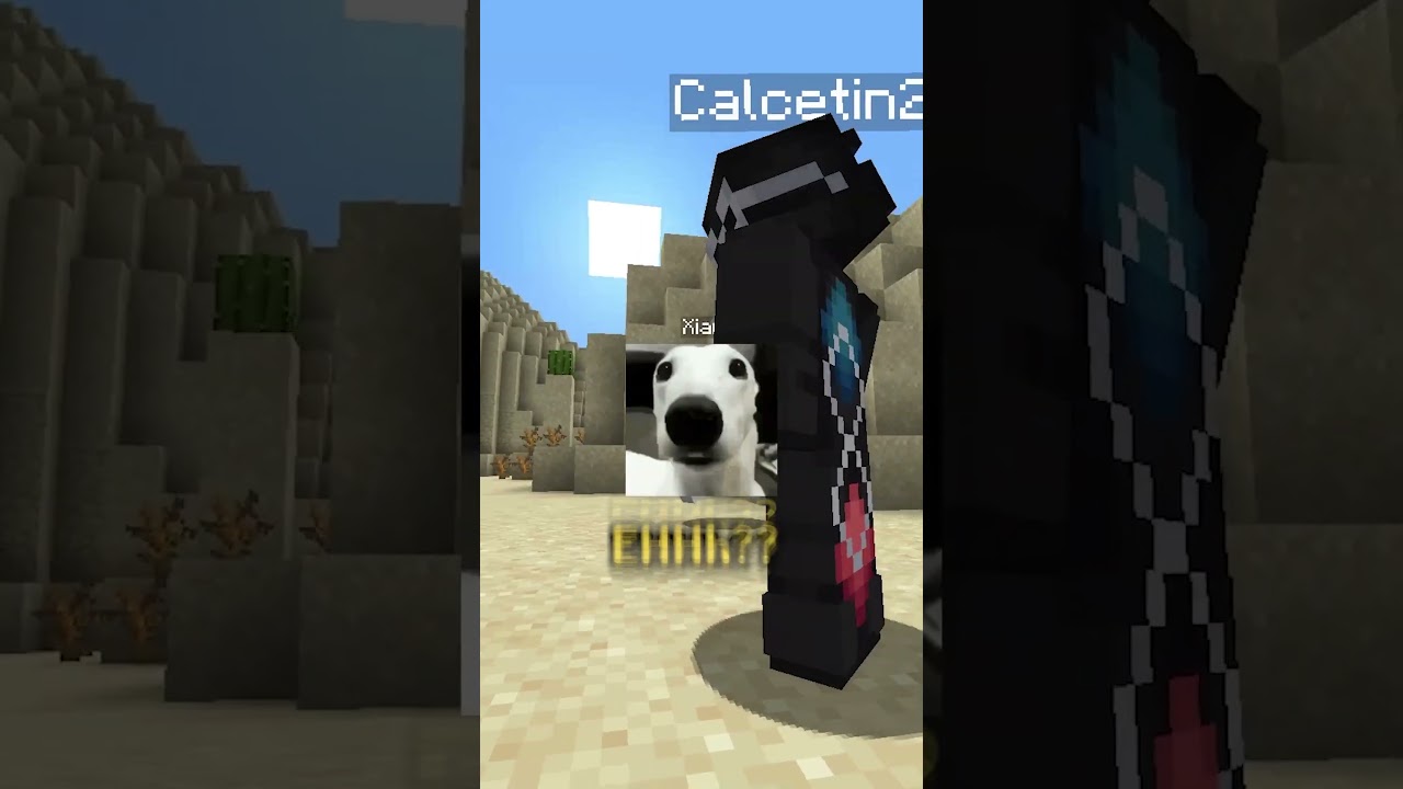 los enga&ntilde;&eacute; 😎🔪 #shorts #minecraft