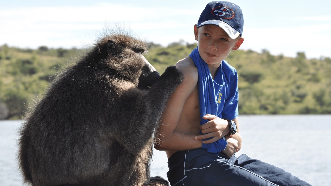 Humans Bringing Up An Orphaned Baby Baboon