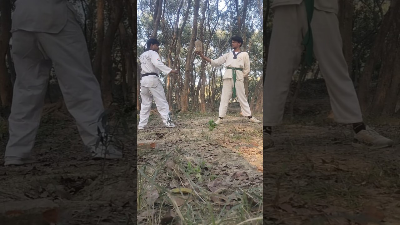 Masudtaekwondo Martial arts taekwondo Karate 