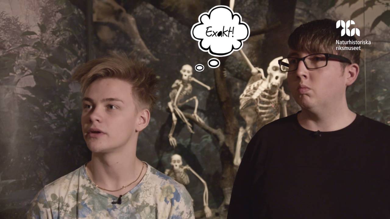 Hampus på Naturhistoriska riksmuseet: mystiska mammuten