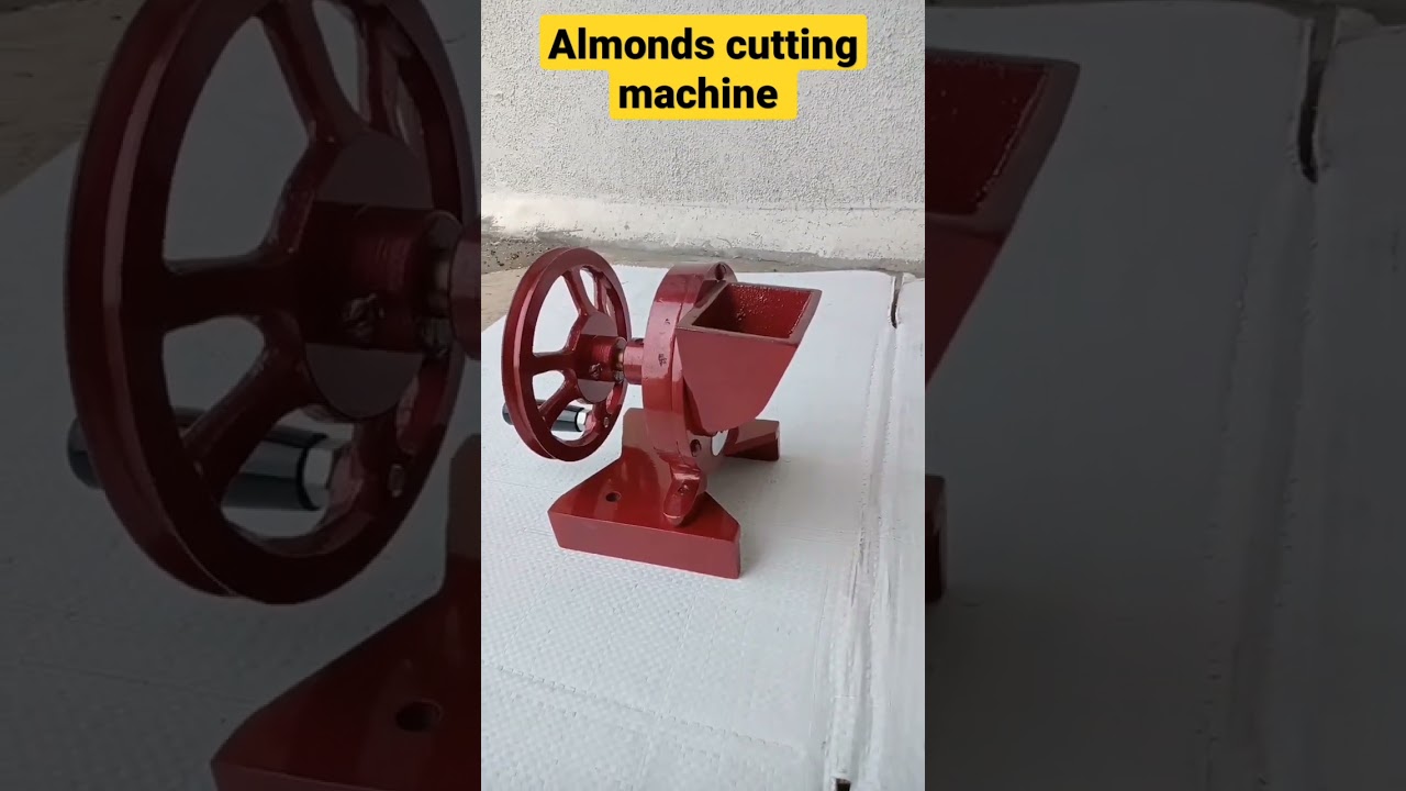 Almonds cutting machine 🪚🪚🪚