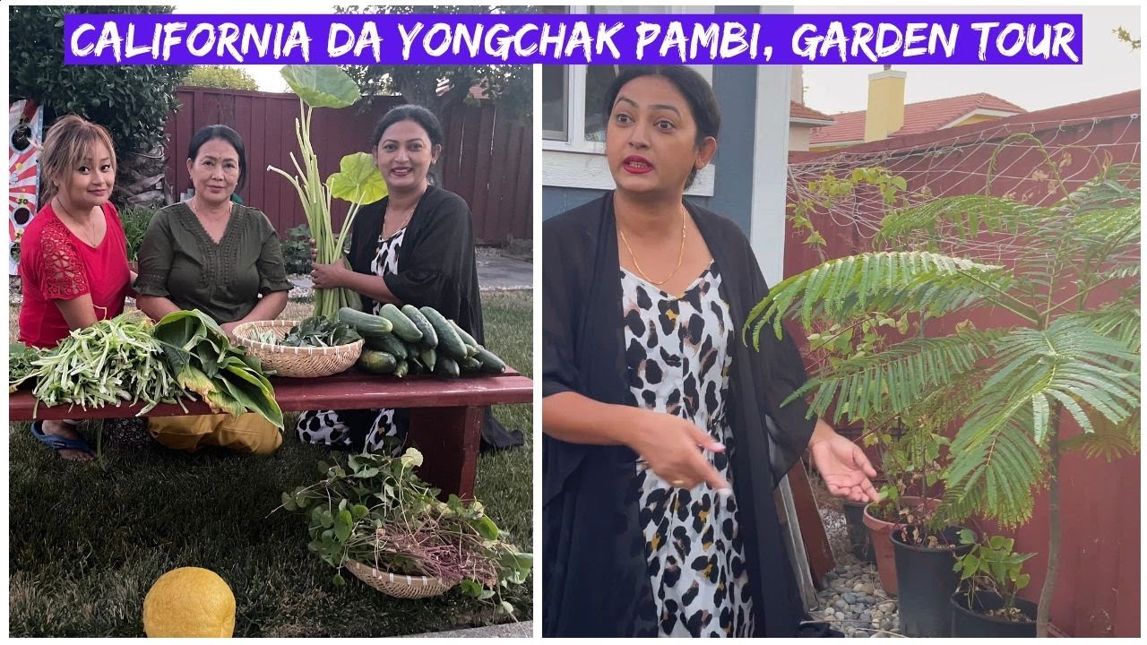 California da yongchak pambi houre , Garden tour @Neena Mapao  #114