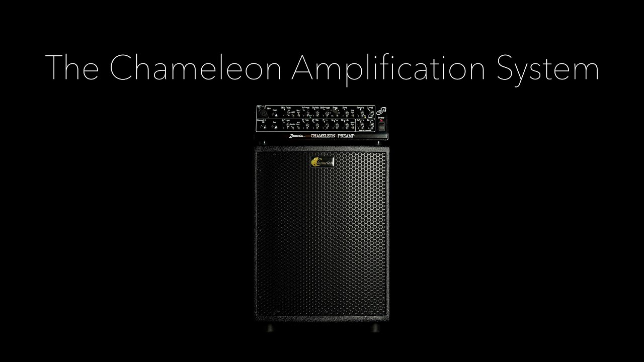 Buscarino Chameleon Amplification System