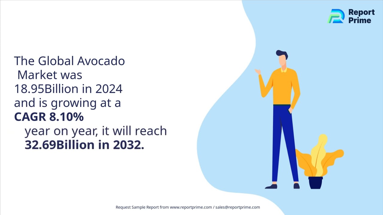 Avocado Market Size, Growth Trends, Top 10 Companies, and Forecast till 2032