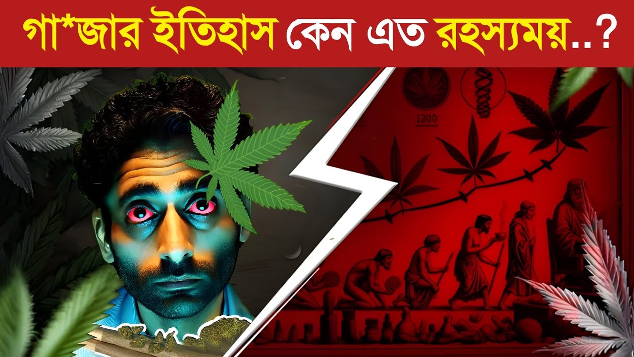 ঔষধ থেকে বিতর্কিত শিল্প গাঁজা উদ্ভিদের উত্থানের ইতিহাস 😱 || Historical Rise of the Cannabis Plant