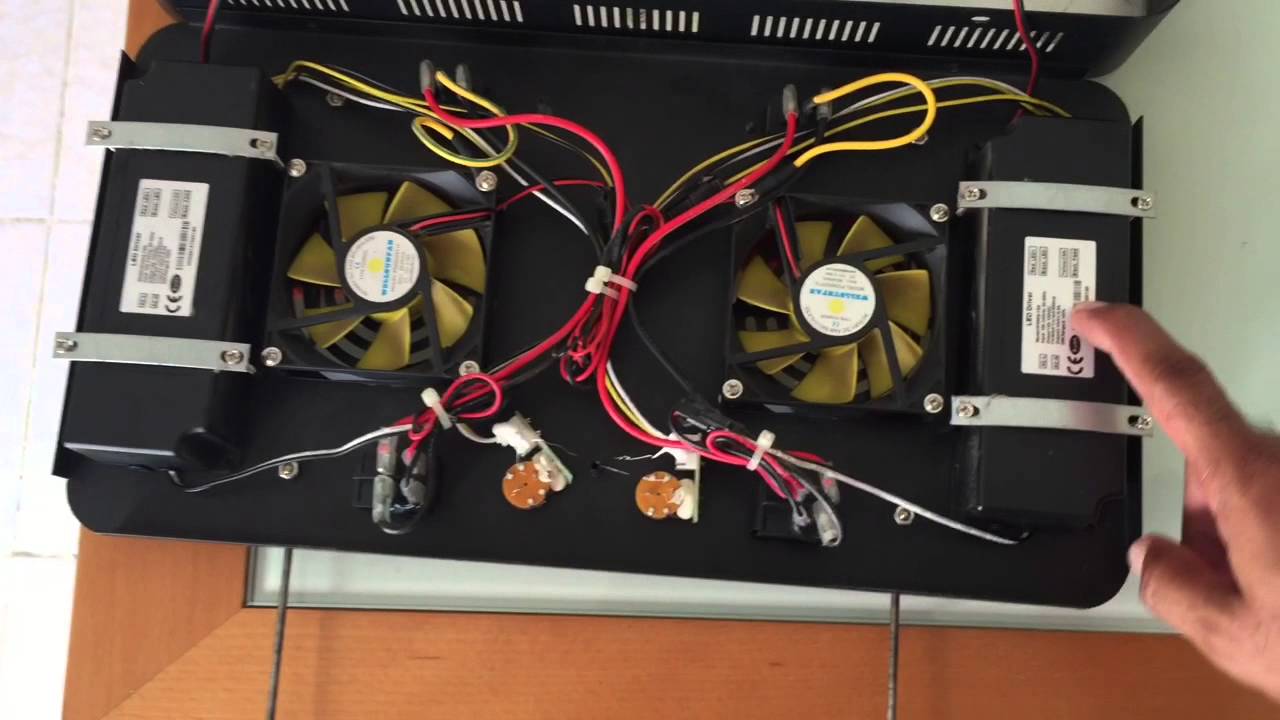 Full spectrum 165w tuneada