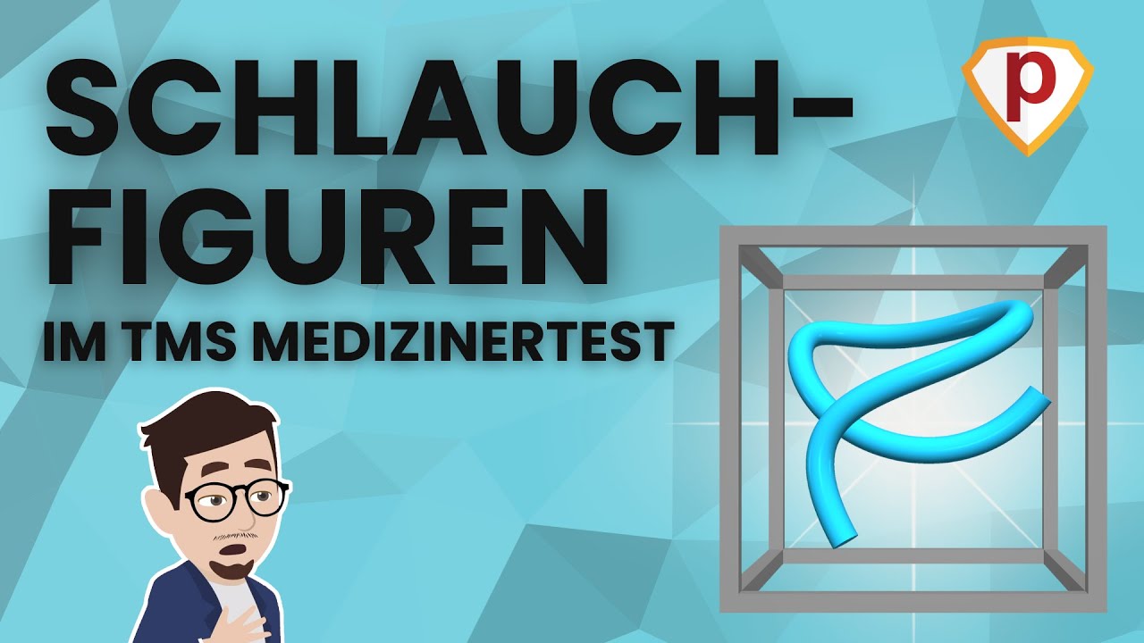 Schlauchfiguren aus dem TMS Medizinertest | Einfach erklärt von Plakos