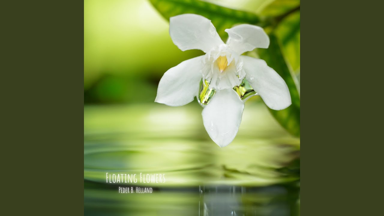 Floating Flowers