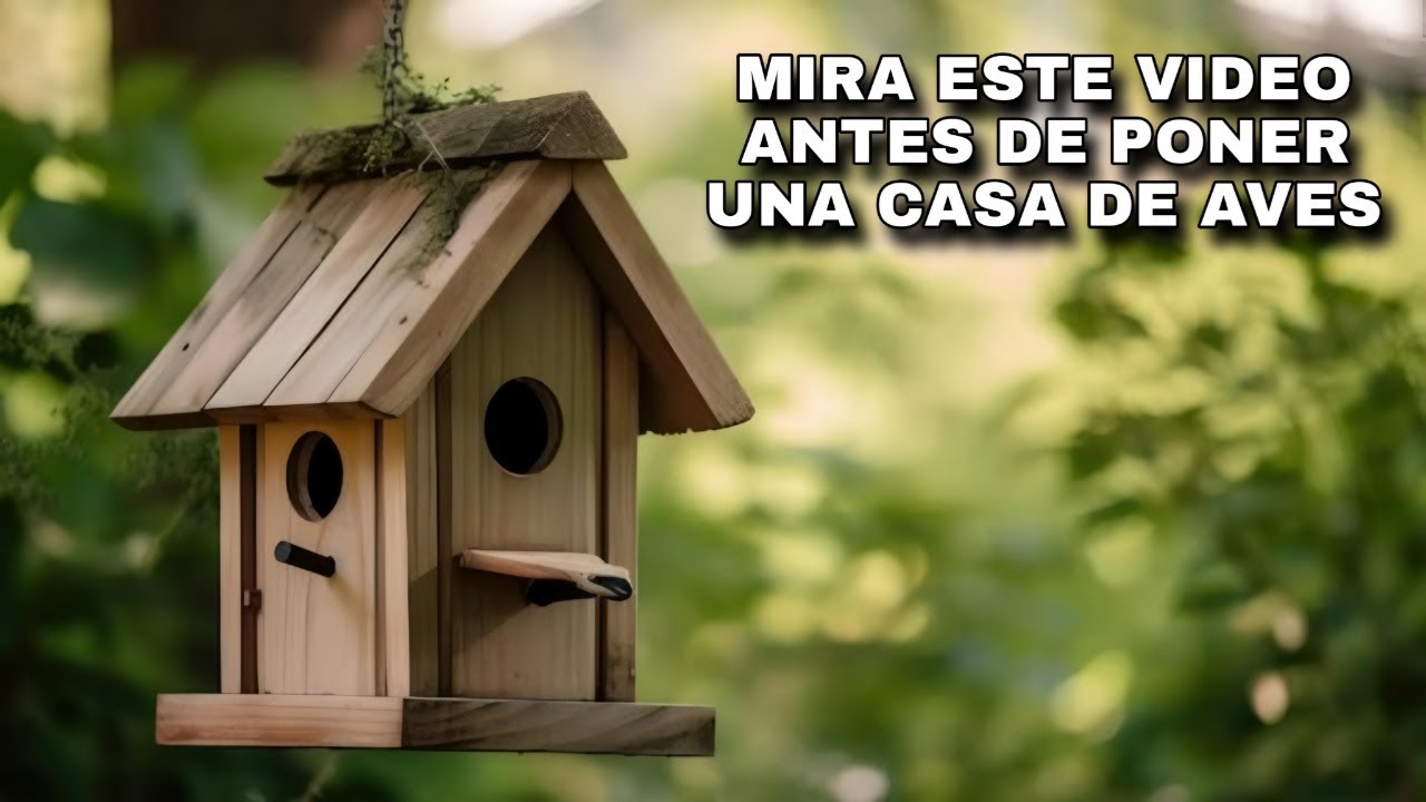PARA QUE SON LAS CASAS DE PAJARO O CAJAS NIDO