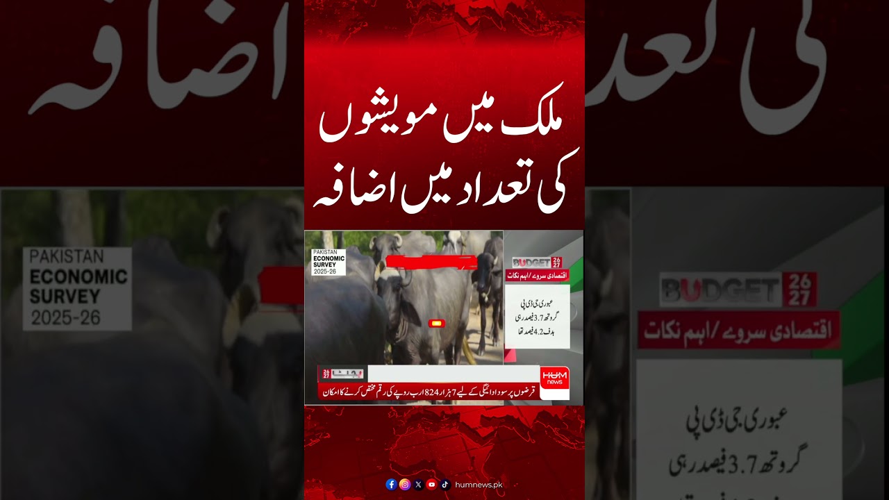 Livestock Population Rises Across the Country, Economic Survey Reveals| Hum News | Pakistan